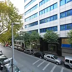 Kale Suite