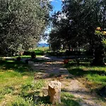 Hotel Oiki Beachcamp