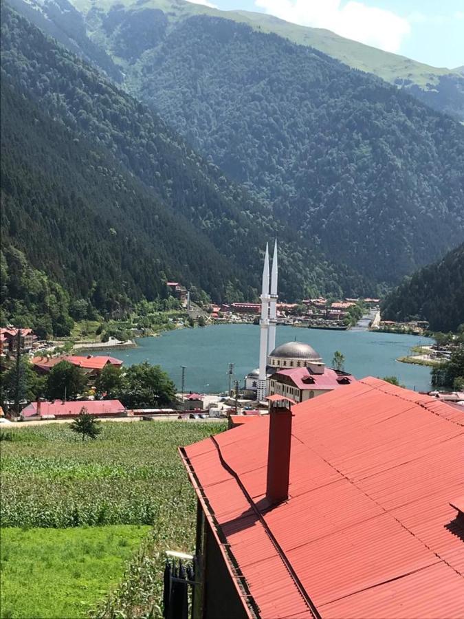 Karenes Kuzey Aparthotel