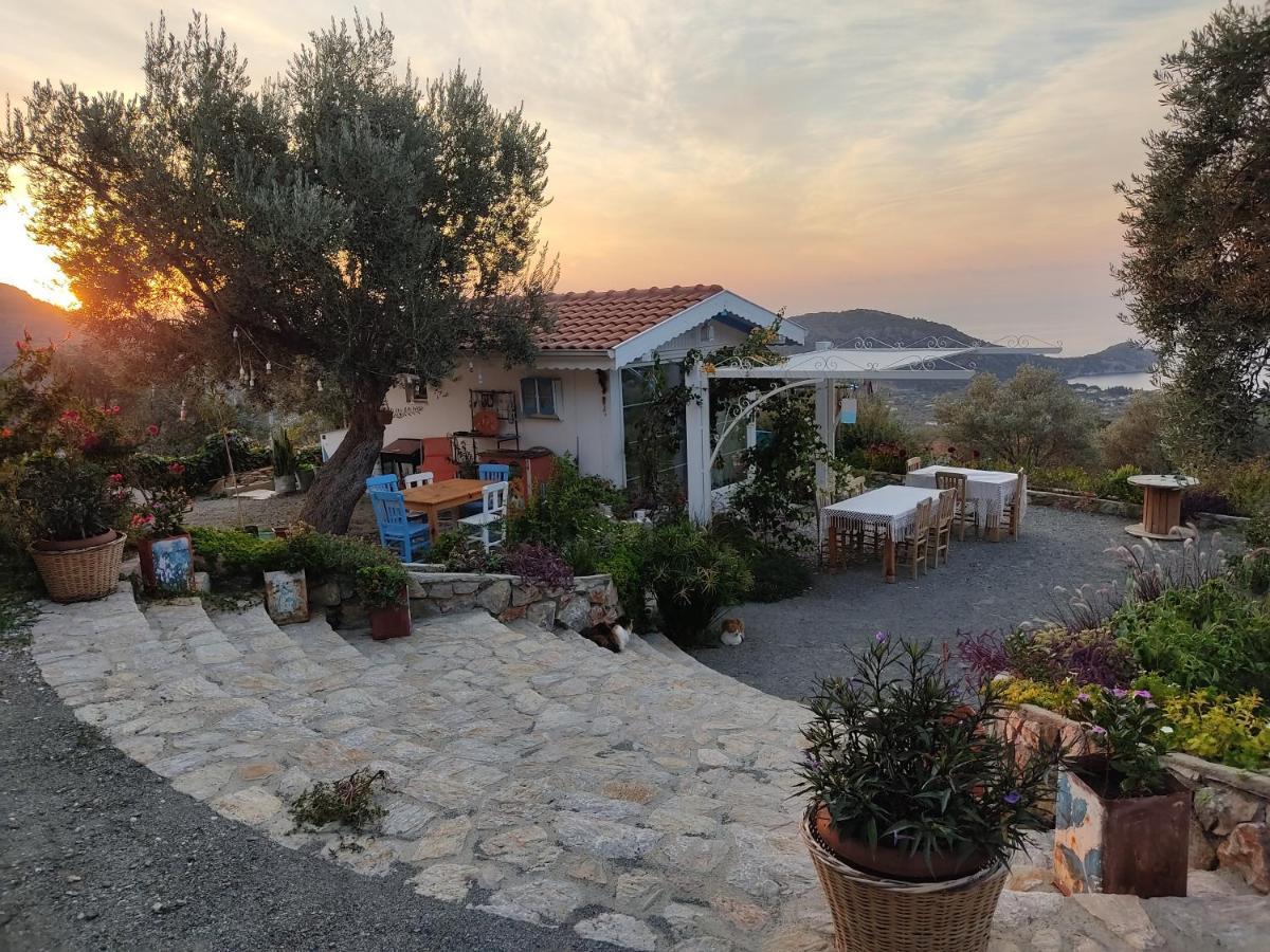 Mavi Kelebek Hotel *