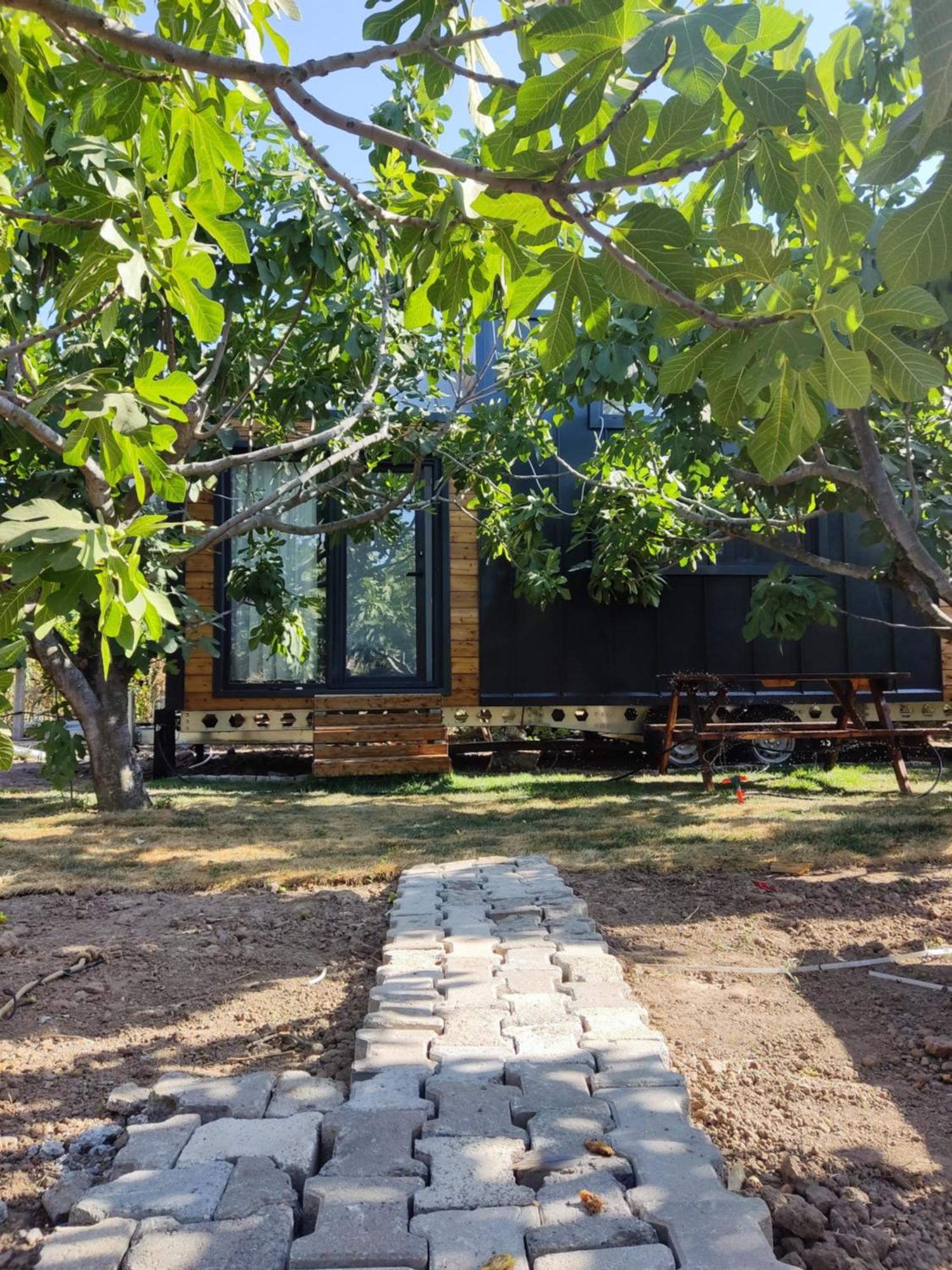 Campsite Zeytiny House Dikili
