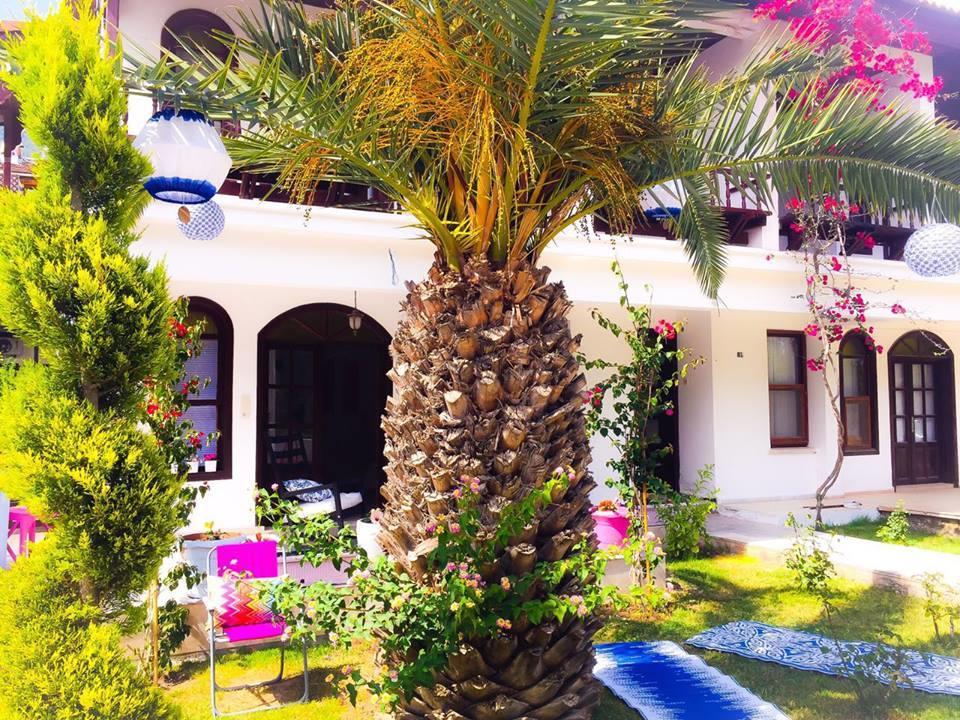 Kiraz Cicegi Butik Akyaka (Mugla)