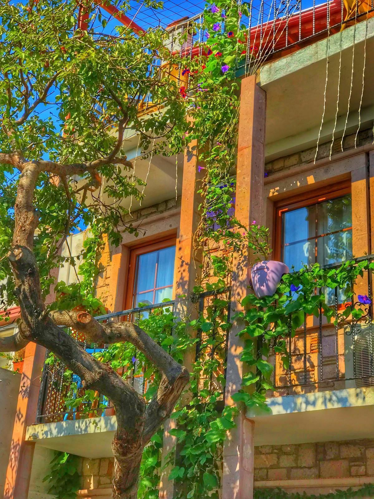 Cunda Thelara Hotell Ayvalı