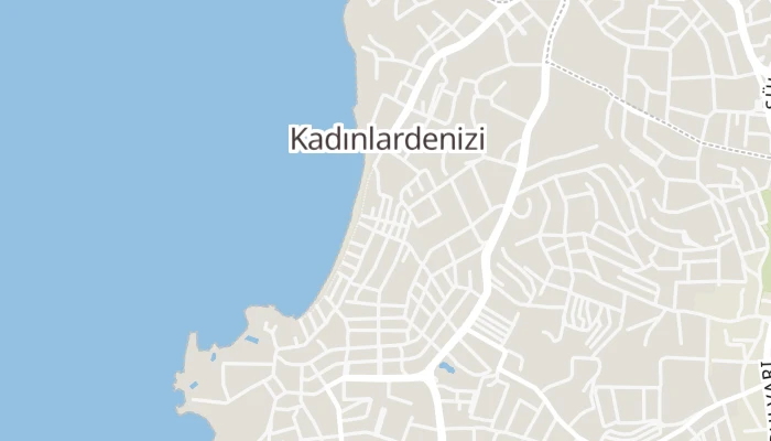 Karta