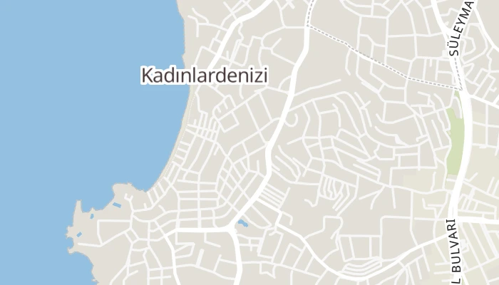 Χάρτης