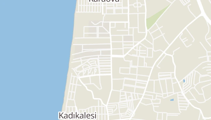 Térkép