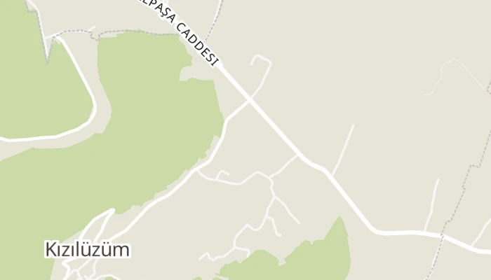Térkép
