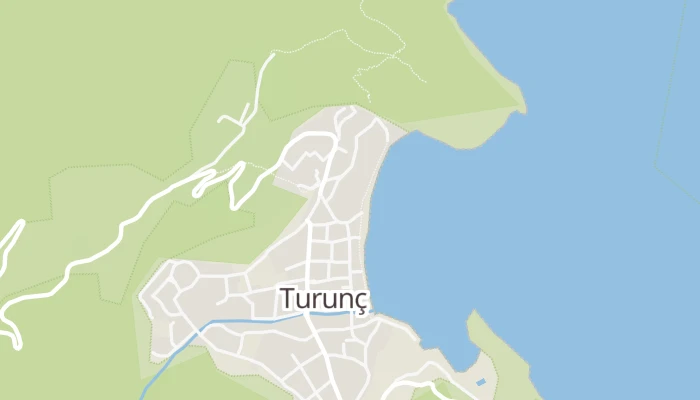 Χάρτης