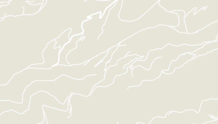 Kort